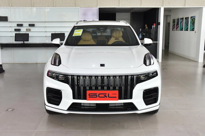 Lynk & Co 09 2024 2.0T AWD Global Edition