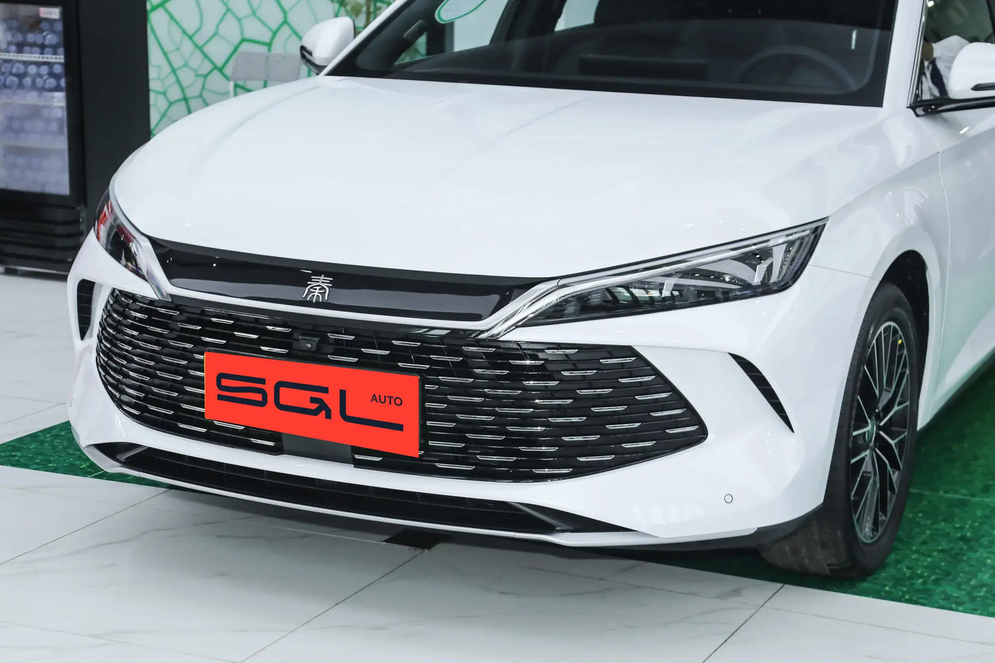 Qin L DM-i 2024 Model 120KM Excellence Edition