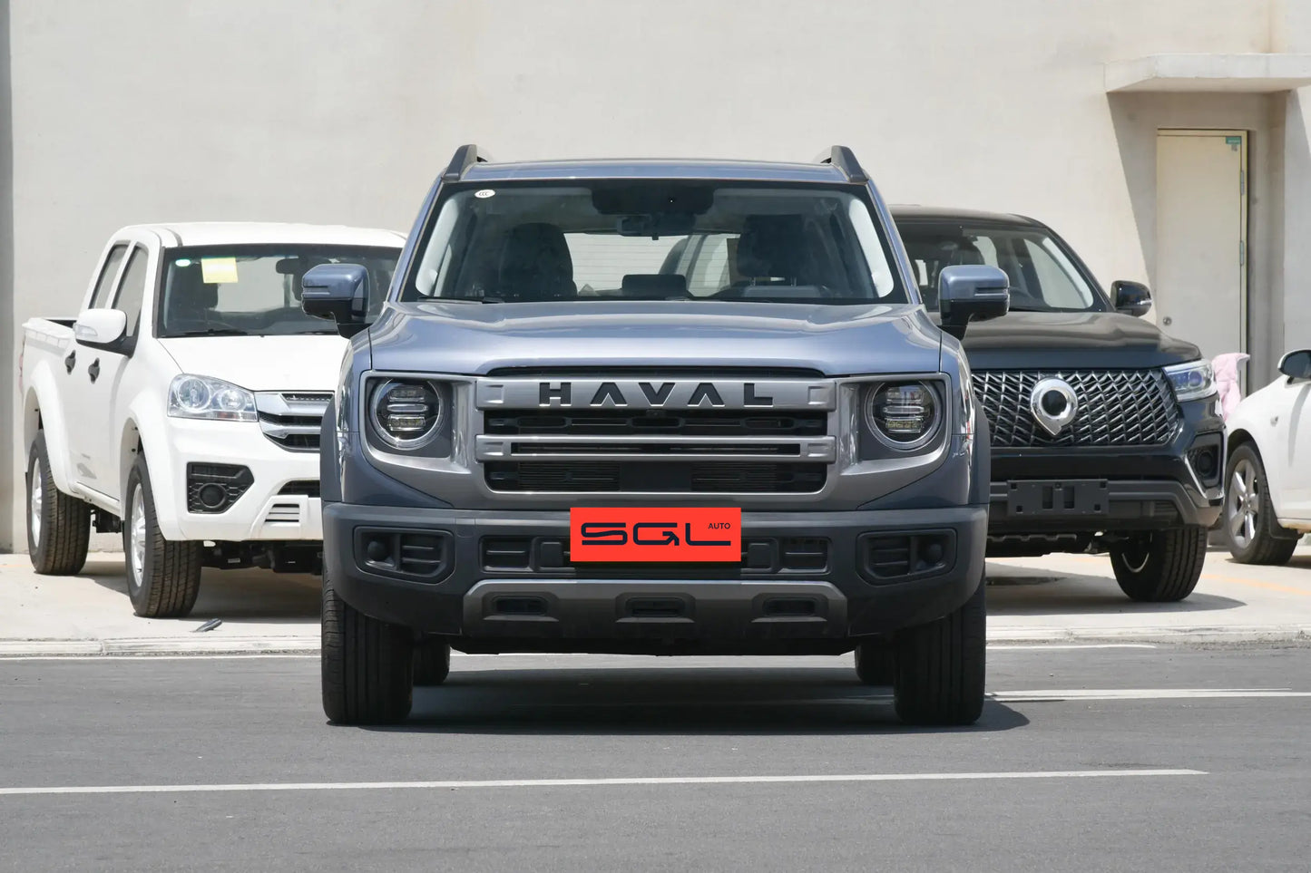 Haval Big Dog 2024 1.5T 2WD Labrador Edition