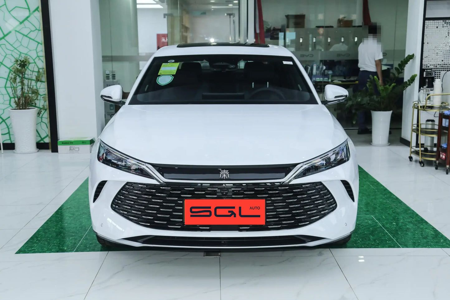 Qin L DM-i 2024 Model 120KM Excellence Edition