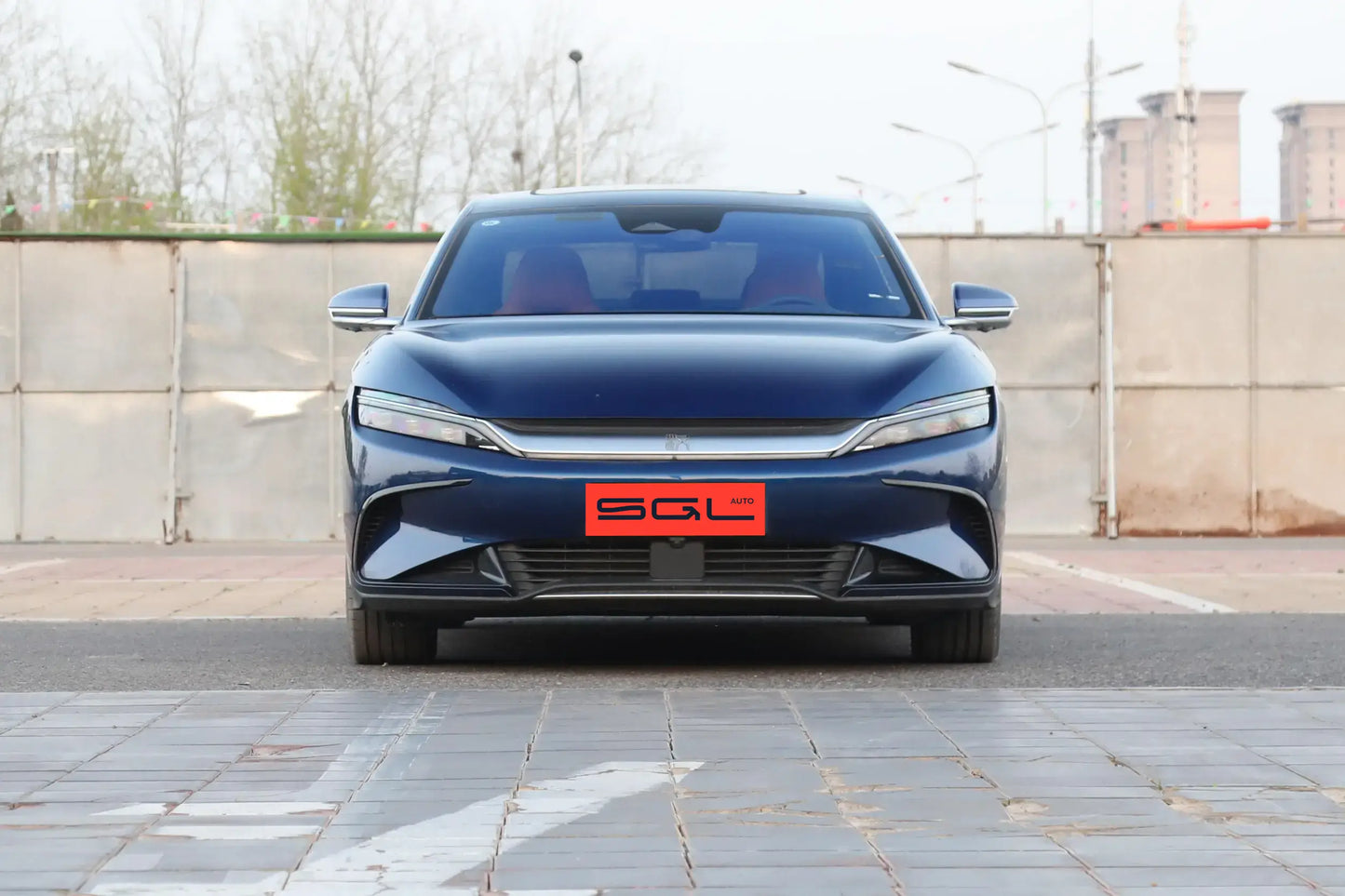 Han EV 2023 Champion Edition 610KM Four-Wheel Drive Flagship